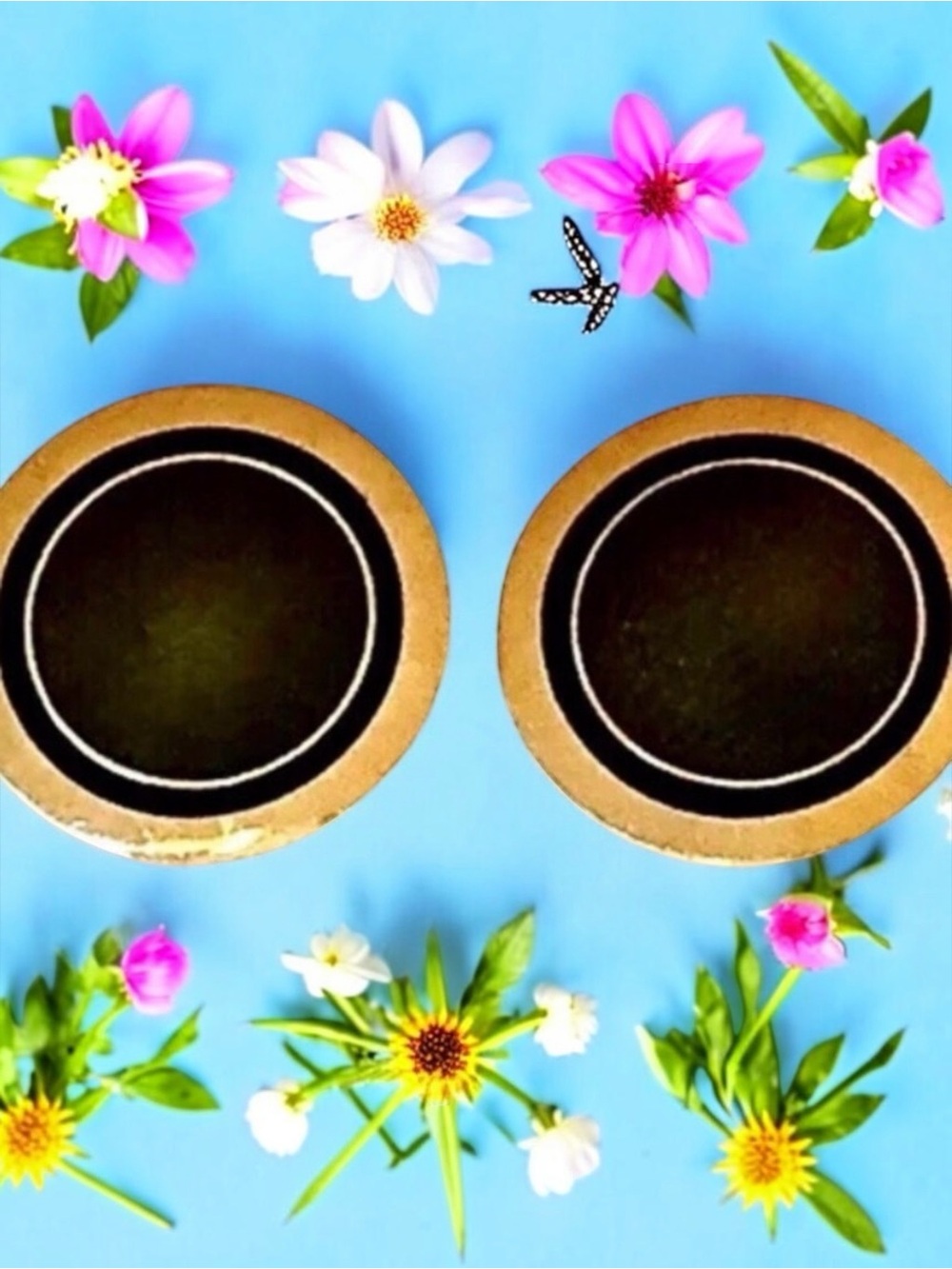 Laurel Burch Round Clip on Earrings Style Name VICTORIA